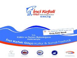 Erciş, festivale hazırlanıyor